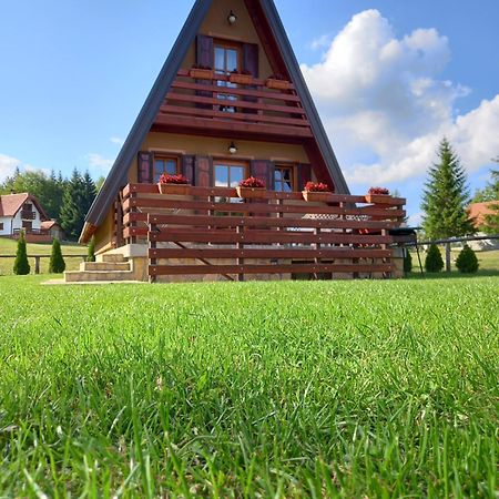 Mountain House Tadic 1 Villa Bajina Basta Eksteriør billede