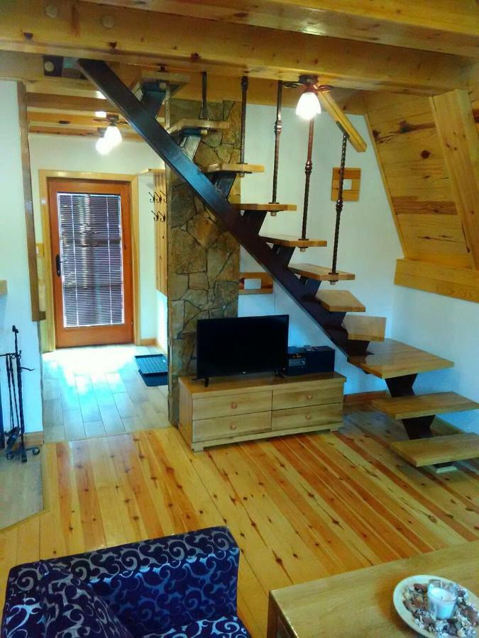 Mountain House Tadic 1 Villa Bajina Basta Eksteriør billede