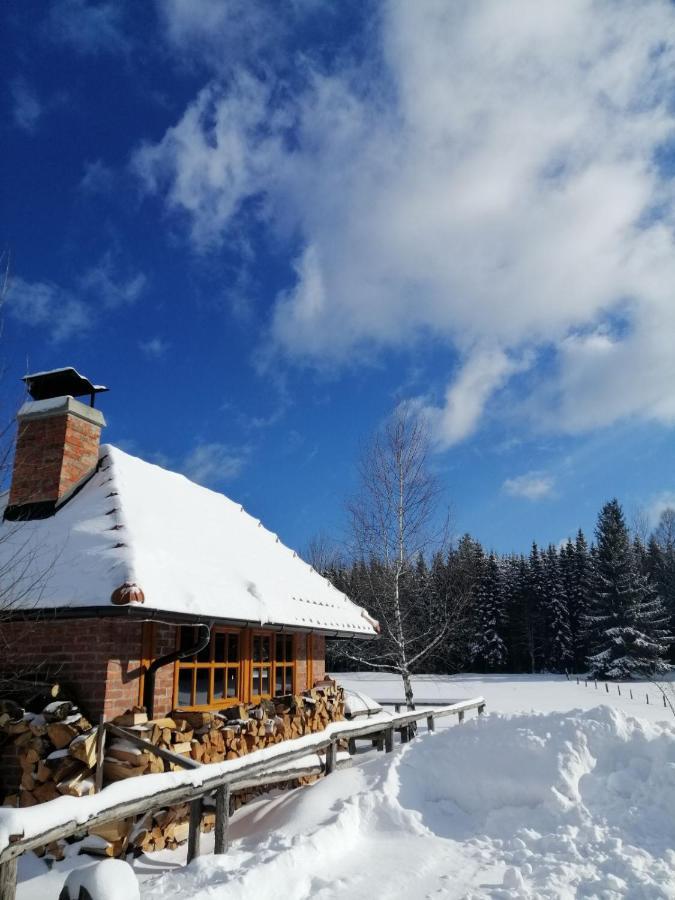 Mountain House Tadic 1 Villa Bajina Basta Eksteriør billede